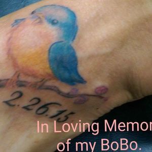 Meet your Posher, Sylvia rebecca